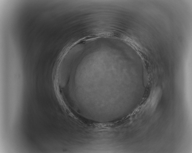 X0000102500241200808081354