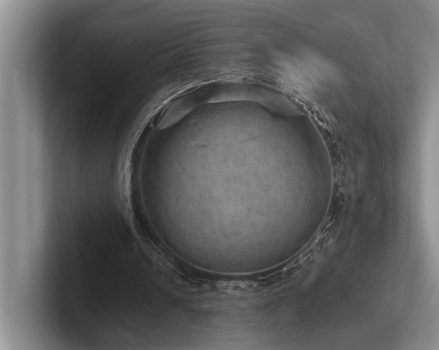 X0000102500242200808081354