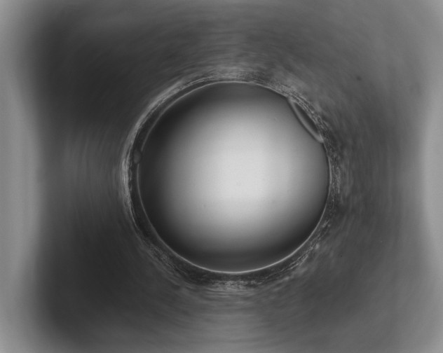 X0000102500244200808081354