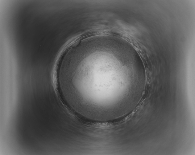 X0000102500245200808081354