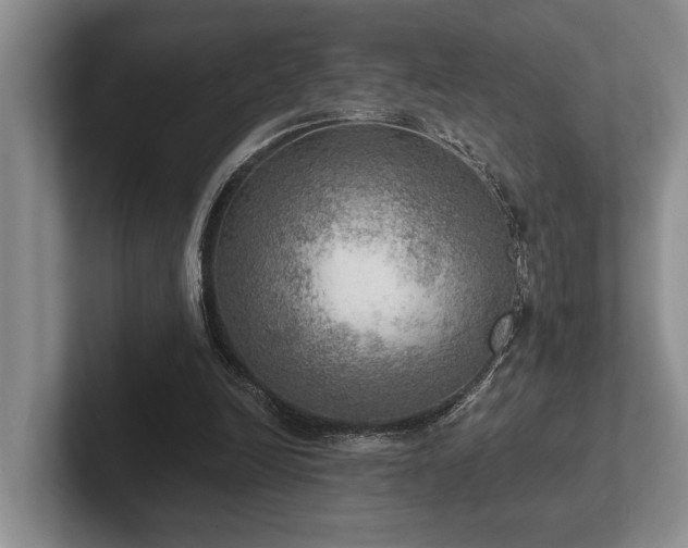 X0000102500246200808081354