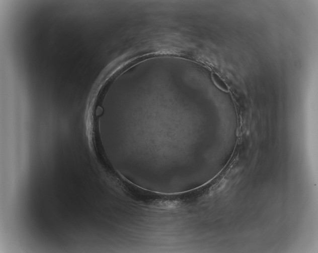 X0000102500247200808081354