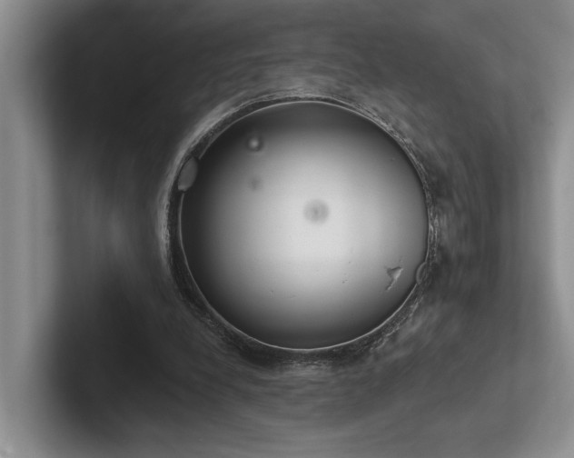 X0000102500248200808081354