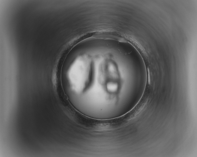 X0000102500252200808081354