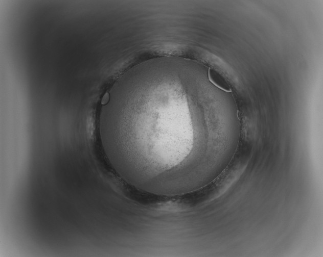 X0000102500259200808081355