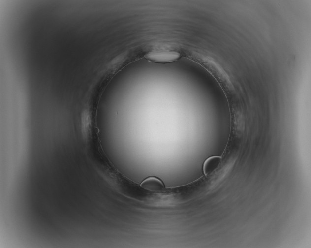 X0000102500260200808081355