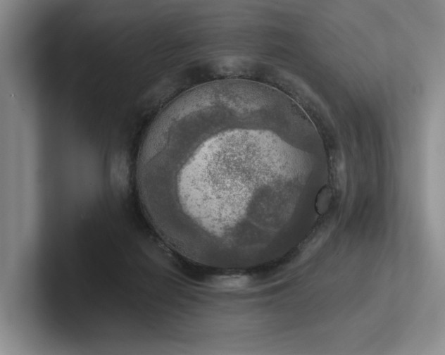 X0000102500266200808081355