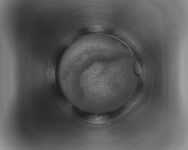 X0000102500267200808081355