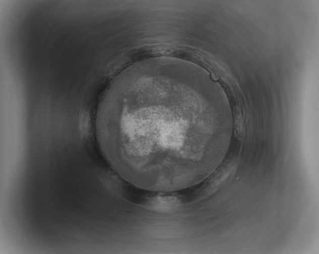 X0000102500270200808081355