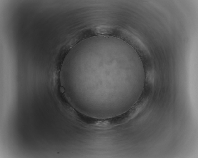 X0000102500271200808081355