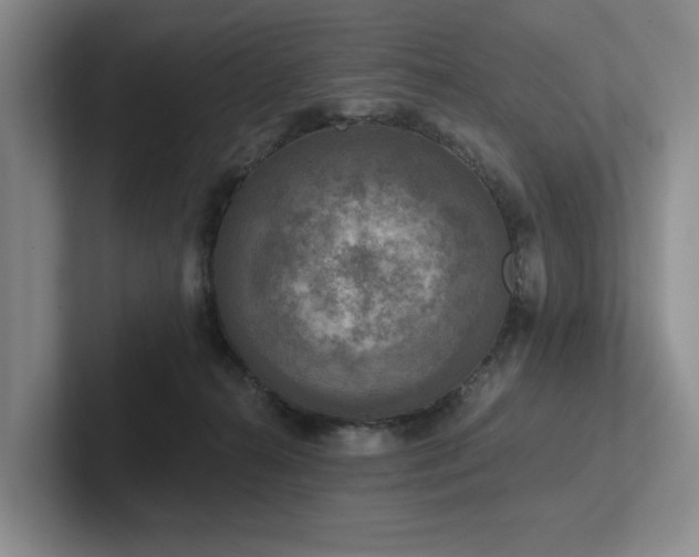 X0000102500272200808081355