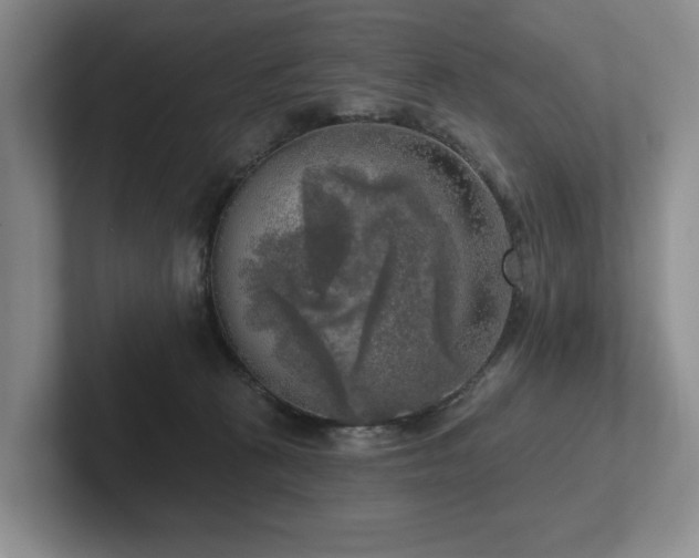 X0000102500273200808081355