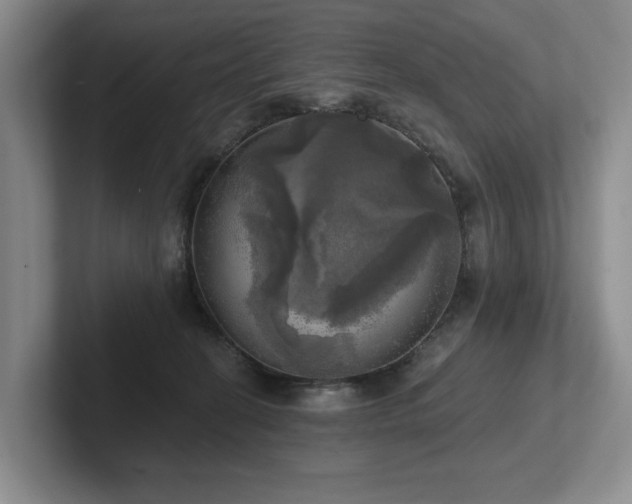 X0000102500274200808081355