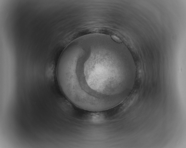 X0000102500275200808081355