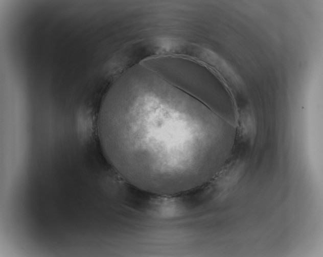 X0000102500276200808081355