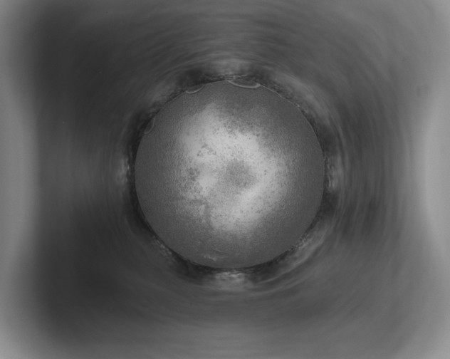 X0000102500279200808081355