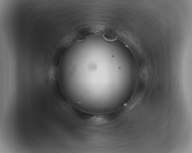 X0000102500280200808081355