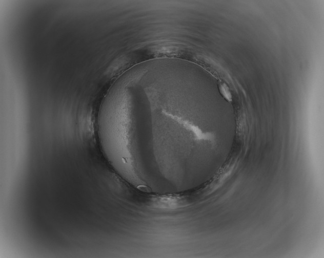 X0000102500282200808081355