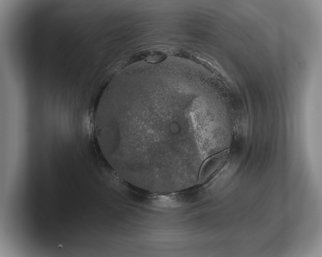 X0000102500285200808081355