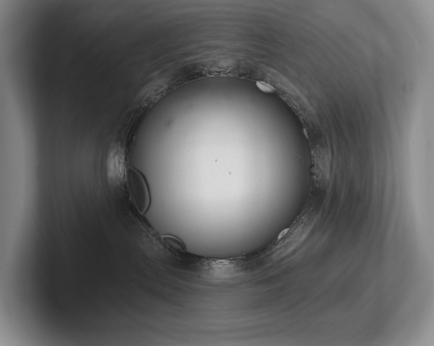 X0000102500287200808081355