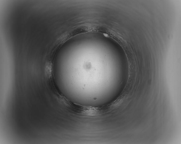 X0000102500288200808081355