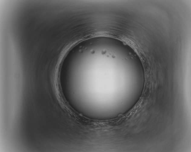 X0000102500289200808081354