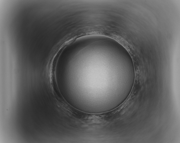 X0000102500290200808081354