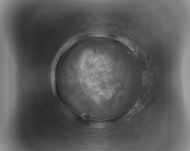 X0000102500293200808081354