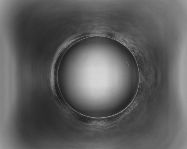 X0000102500294200808081354