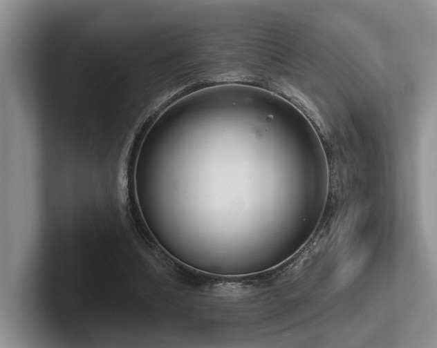 X0000102500298200808081354