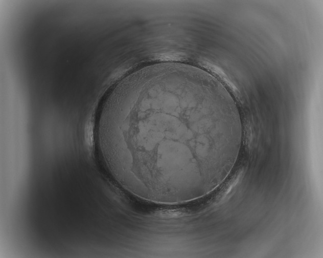 X0000102500299200808081354