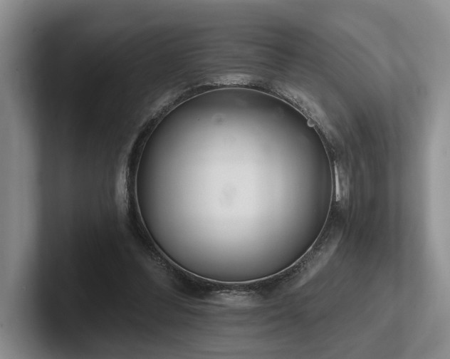 X0000102500300200808081354