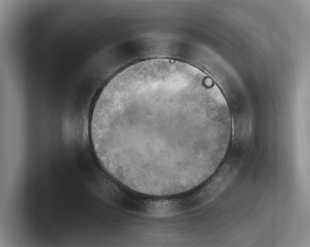 X0000102500301200808081354