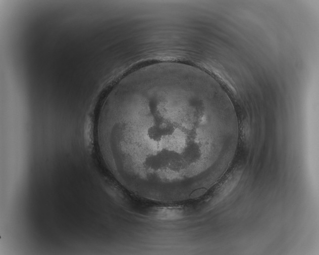 X0000102500303200808081354