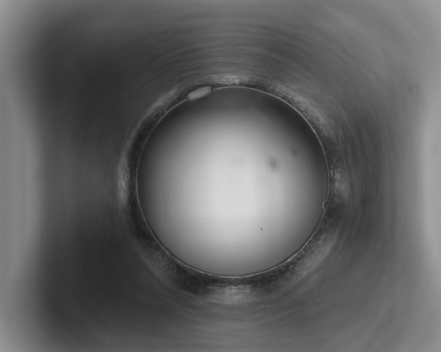 X0000102500304200808081354