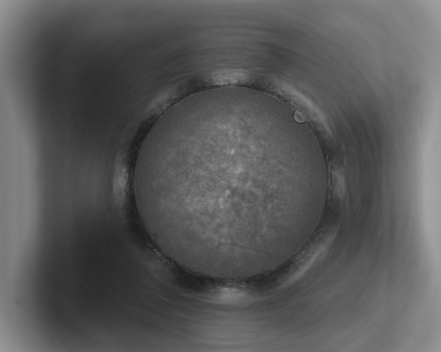 X0000102500308200808081354