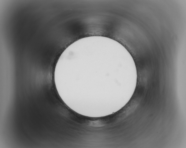 X0000102500309200808081354