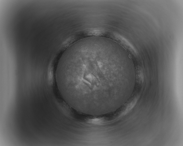 X0000102500312200808081354