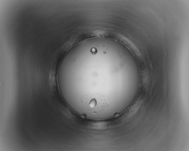 X0000102500313200808081354