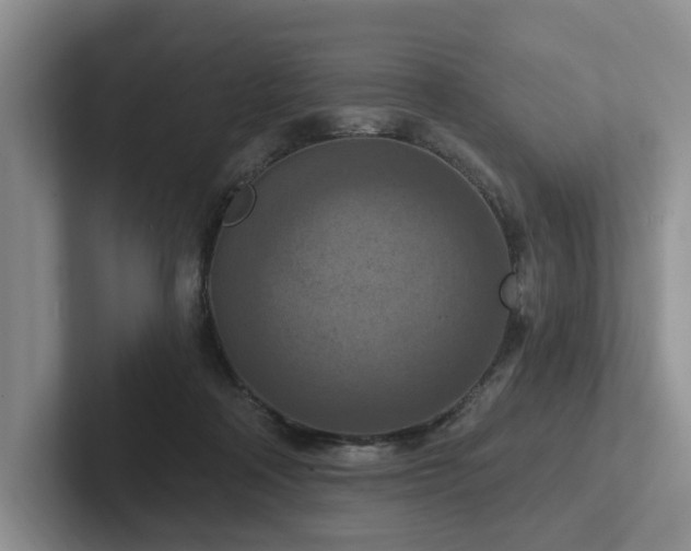 X0000102500314200808081354