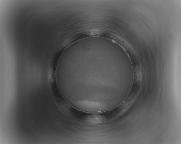 X0000102500316200808081354