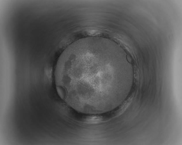 X0000102500319200808081354