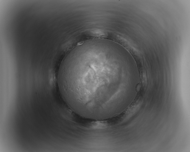 X0000102500320200808081354