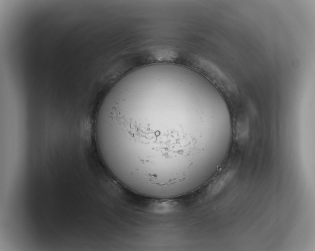 X0000102500321200808081354