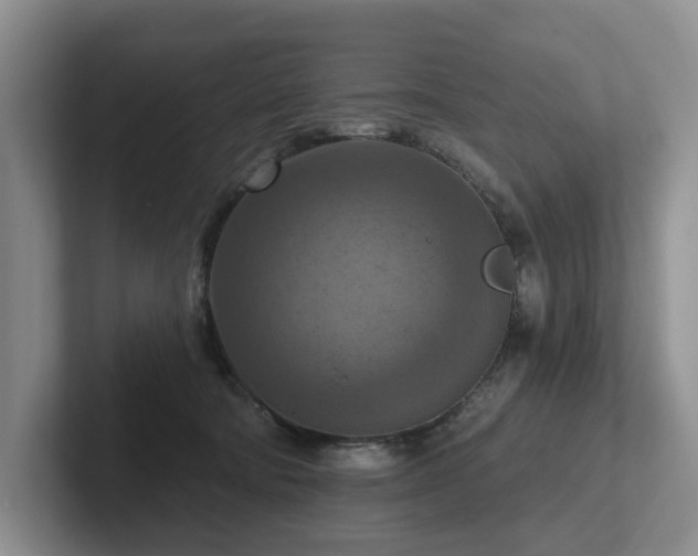 X0000102500322200808081354