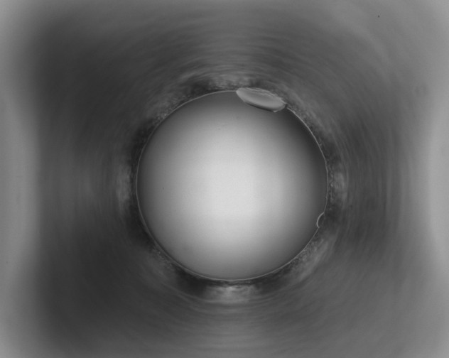 X0000102500323200808081354