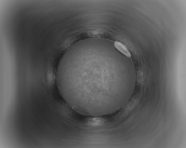 X0000102500324200808081354