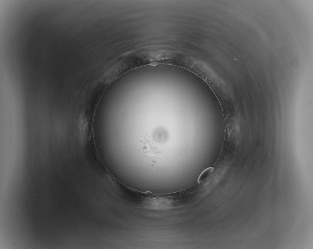 X0000102500327200808081354