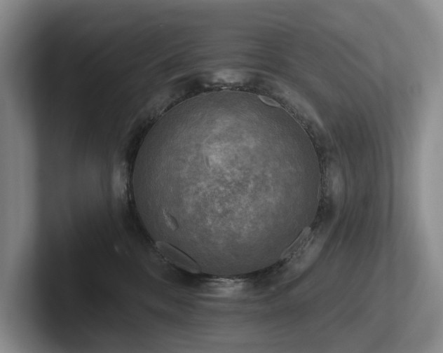 X0000102500328200808081354