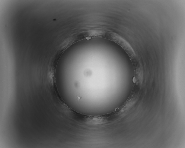 X0000102500329200808081354